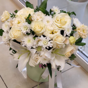 Невесомость