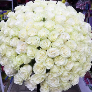 Унесенные ветром